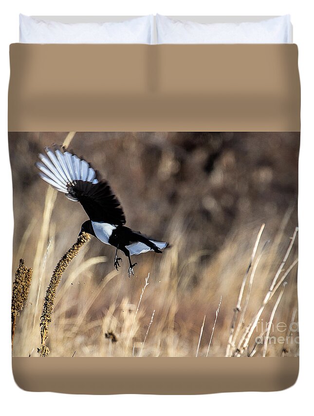 Magpie Duvet Cover featuring the photograph Magpie in Winter by Jim Garrison