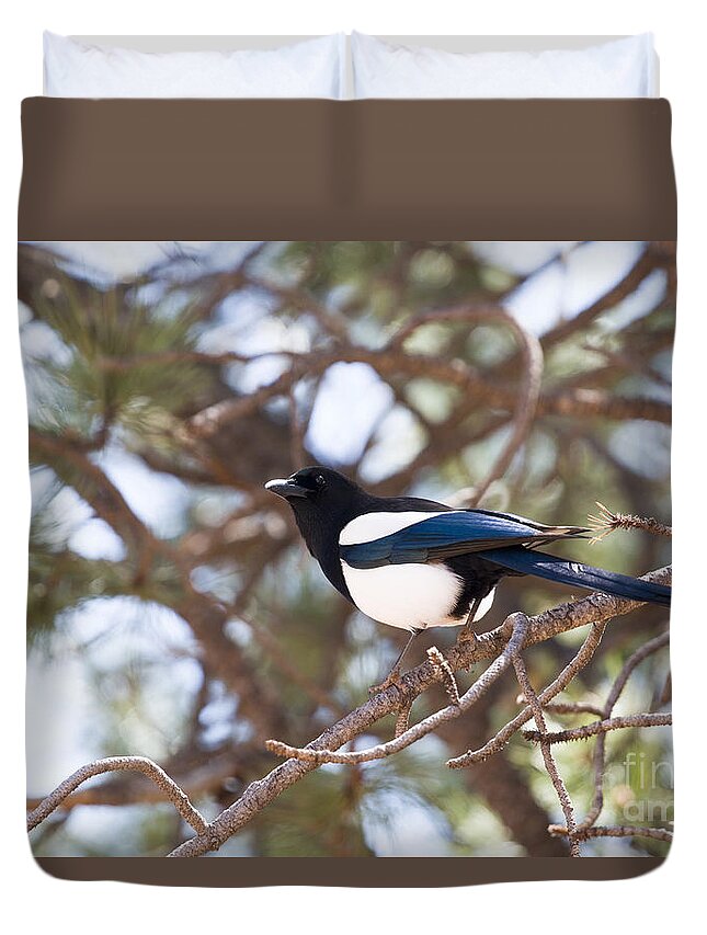 Magpie Duvet Cover featuring the photograph Magpie by Steven Krull