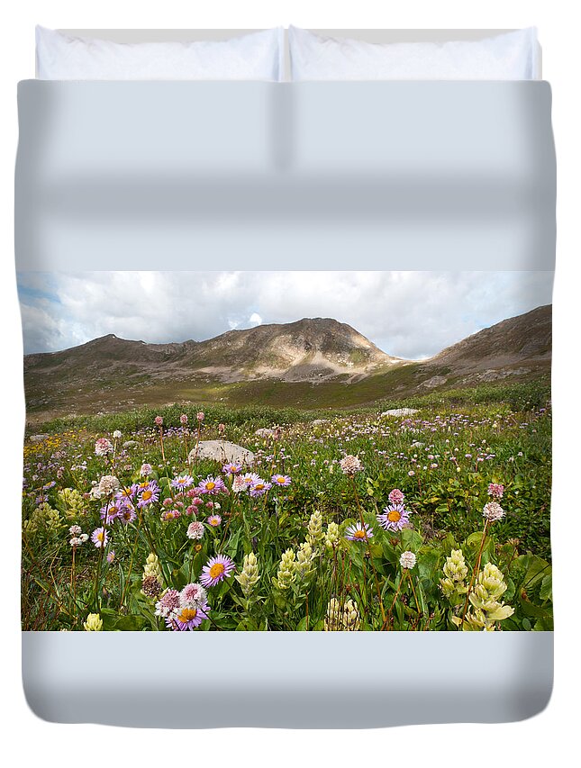Summer Duvet Cover featuring the photograph Majestic Colorado Alpine Meadow by Cascade Colors