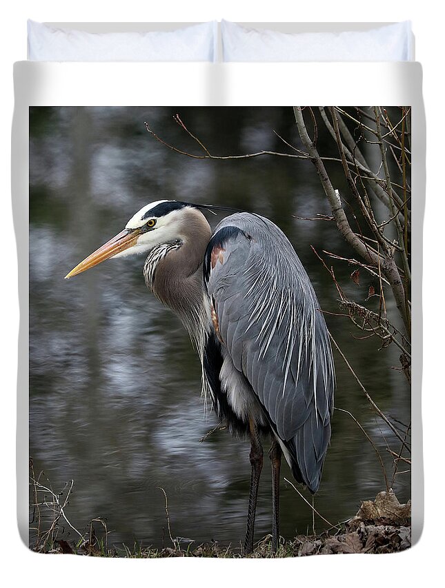 Great Blue Heron Duvet Cover featuring the photograph Majestic Great Blue Heron by Doris Potter