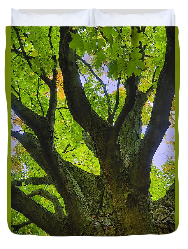 Caledon Duvet Cover featuring the photograph Majestic Maple 2 by Gary Hall