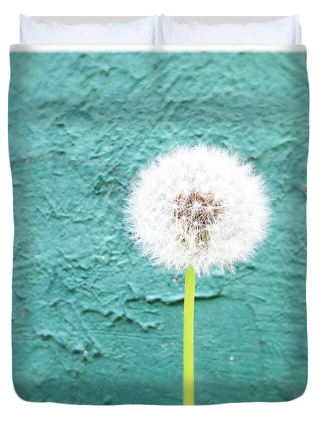 Dandelion Duvet Cover featuring the photograph Make a Wish by Dorian Hill