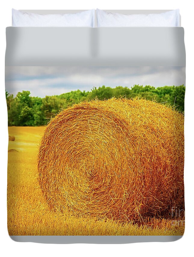 Making Duvet Cover featuring the photograph Making Hay by Tom Jelen