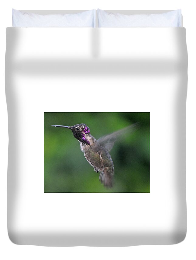 In Flight Duvet Cover featuring the photograph Male Anna's Hummingbird In Flight by Jay Milo