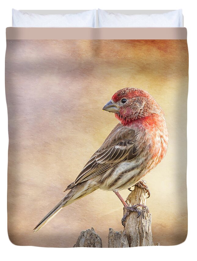 Chordata Duvet Cover featuring the photograph Male Finch Poses On Post by Bill and Linda Tiepelman