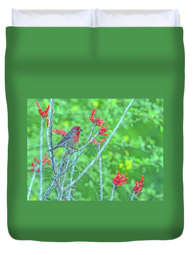 House Duvet Cover featuring the photograph Male House Finch 8347 by Tam Ryan
