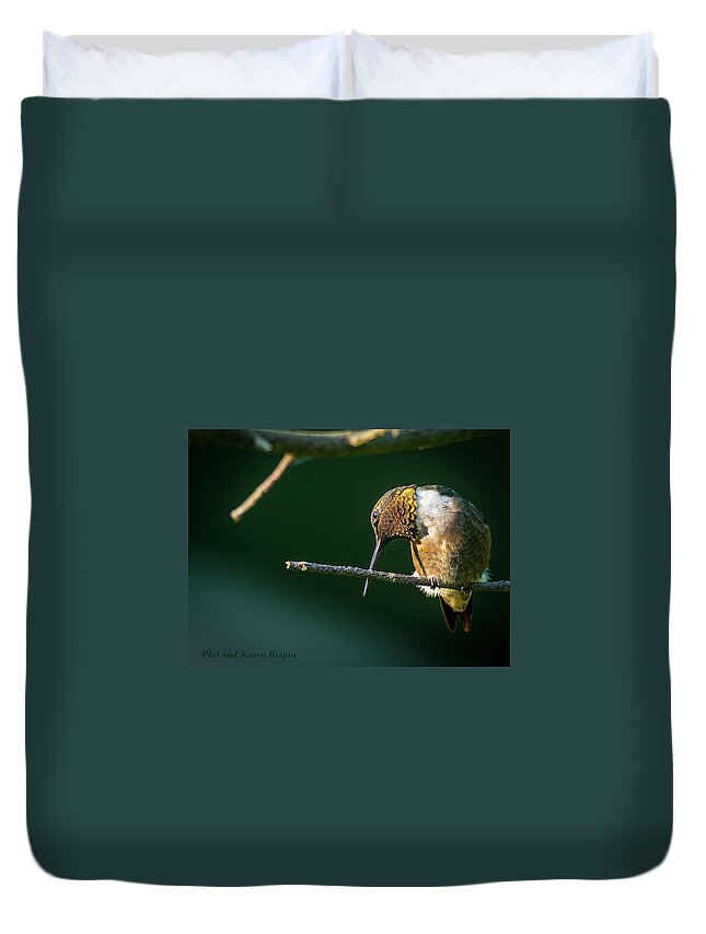 2017-09-03 Duvet Cover featuring the photograph Male Hummingbird Preening by Phil And Karen Rispin