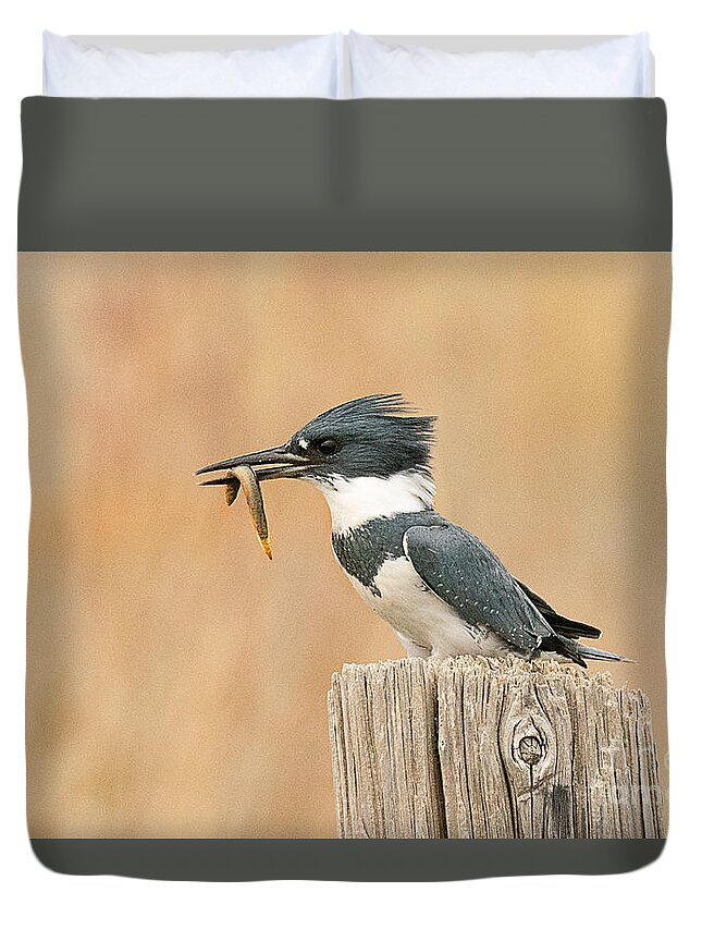 Bird Duvet Cover featuring the photograph Male Kingfisher with Fresh Water Eel by Dennis Hammer