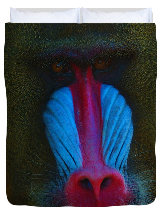Mandrill Duvet Cover featuring the photograph Male Mandrill by Richard Henne