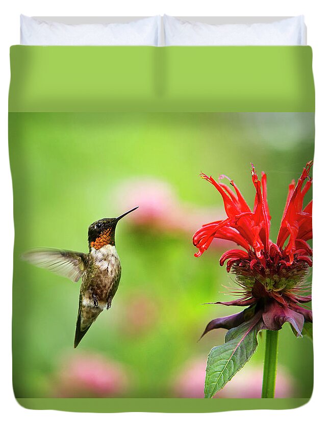 Hummingbird Duvet Cover featuring the photograph Male Ruby-Throated Hummingbird Hovering Near Flowers by Christina Rollo