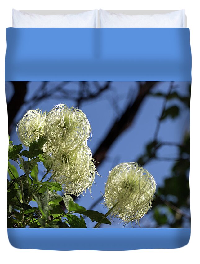 California Duvet Cover featuring the photograph Old Man's Beard by Ed Clark