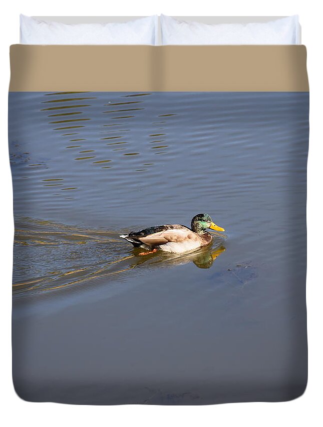Animal Duvet Cover featuring the photograph Mallard Duck Burgess Res CO by Margarethe Binkley