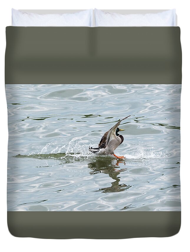 Mallard Duvet Cover featuring the photograph Mallard Duck Sticks His Landing by Holden The Moment