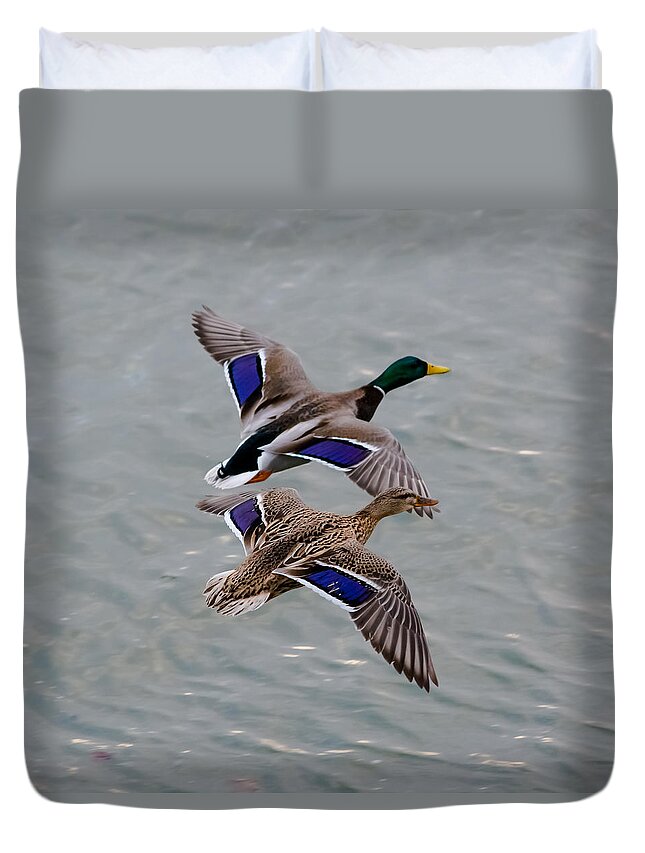 Mallards Duvet Cover featuring the photograph Mallards in Flight by Holden The Moment