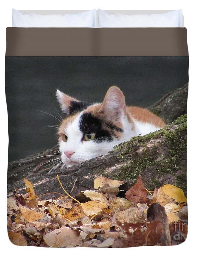 Cat Duvet Cover featuring the photograph Ducks Watching by Kim Tran