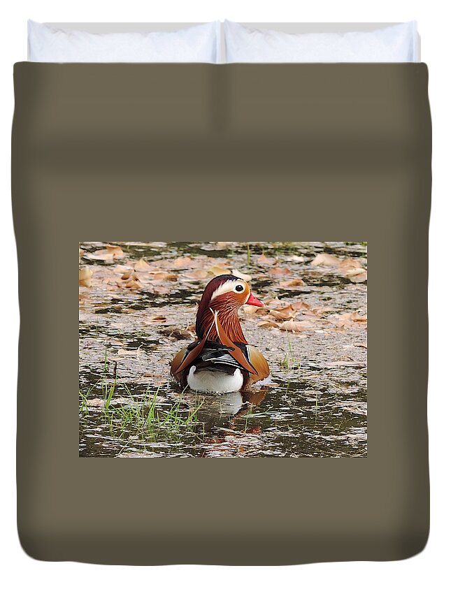 Mandarin Duck Duvet Cover featuring the photograph Mandarin Duck by Richard Gehlbach