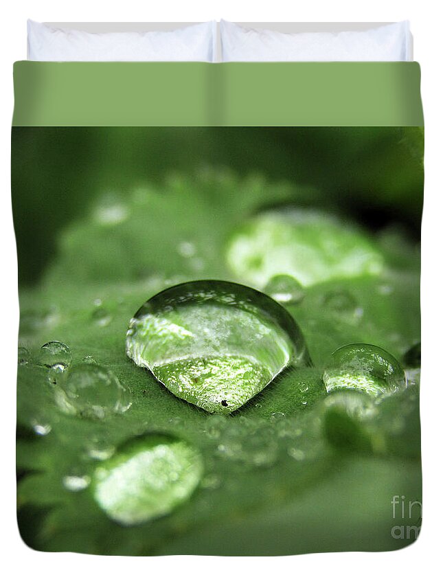 Rain Drops Duvet Cover featuring the photograph Many Drops by Kim Tran