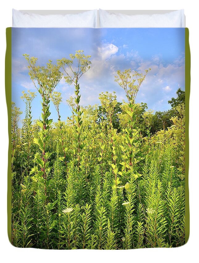 Sunflowers Duvet Cover featuring the photograph Marengo Ridge Indian Plantain by Ray Mathis