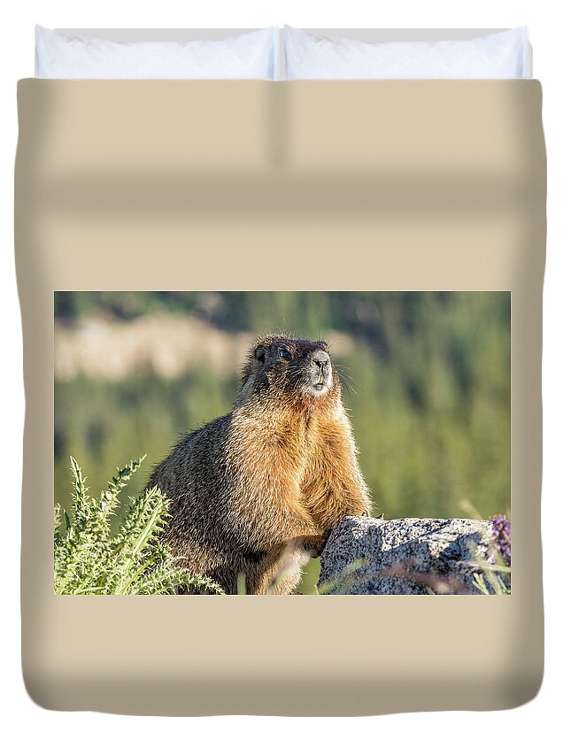 Marmot Duvet Cover featuring the photograph Marmot with an Atitude by Tony Hake