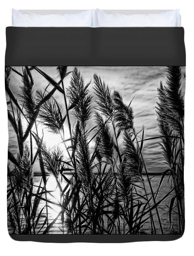 Marsh Duvet Cover featuring the photograph Marsh Grass bw by John Loreaux