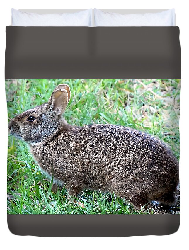 Rabbit Duvet Cover featuring the photograph Marsh Rabbit Run Rabbit by Christopher Mercer