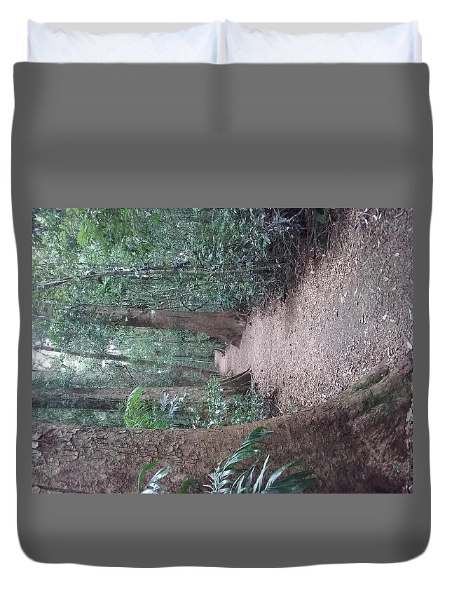 Landscape Duvet Cover featuring the photograph Mary Cairncross Rainforest #2 by Cassy Allsworth