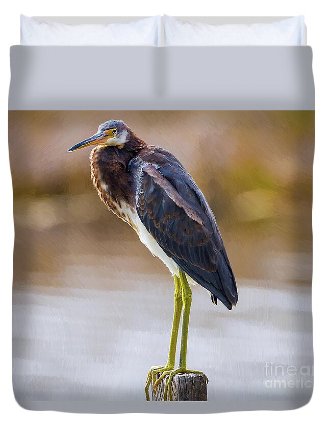 Nature Duvet Cover featuring the painting Master Of The Post 2 - Egretta Tricolor by DB Hayes