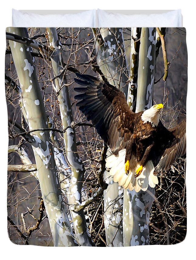 Eagles Mates Duvet Cover featuring the photograph Mating Pair at nest by Randall Branham