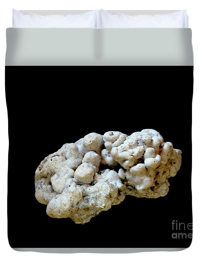 Rock Duvet Cover featuring the photograph Maui Fossil Two by Fred Wilson