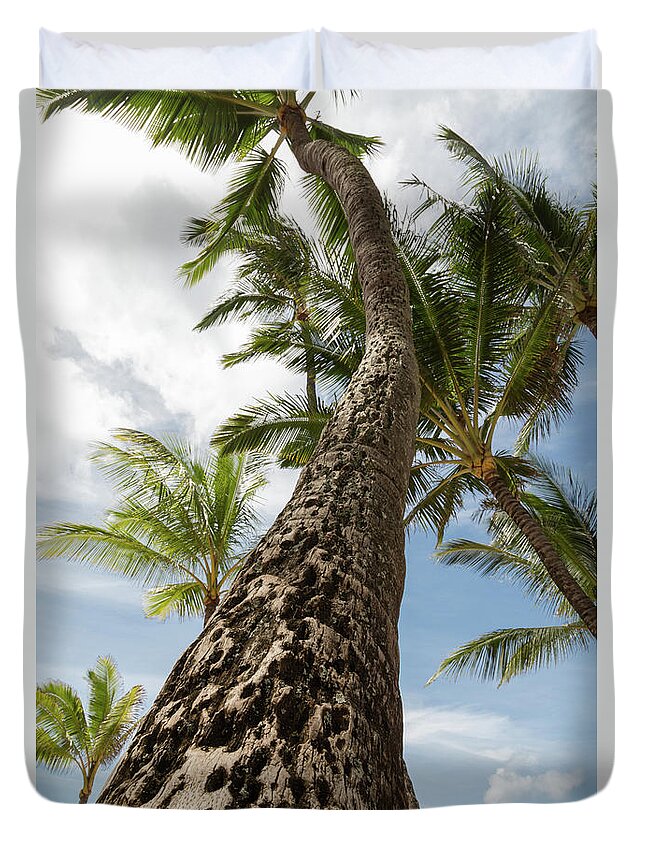 Maui Duvet Cover featuring the photograph Maui Palm by John Daly