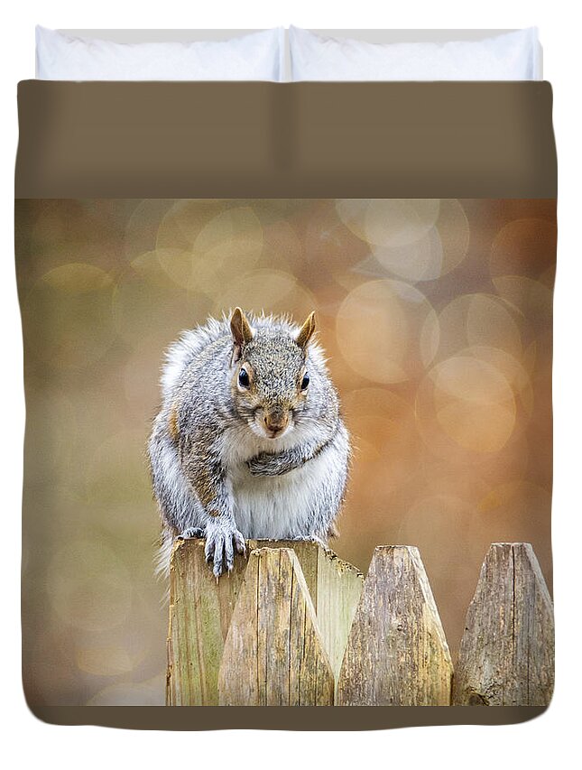 Squirrel Duvet Cover featuring the photograph May I Introduce Myself by Cathy Kovarik