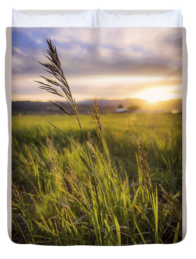 Meadow Light Duvet Cover featuring the photograph Meadow Light by Chad Dutson