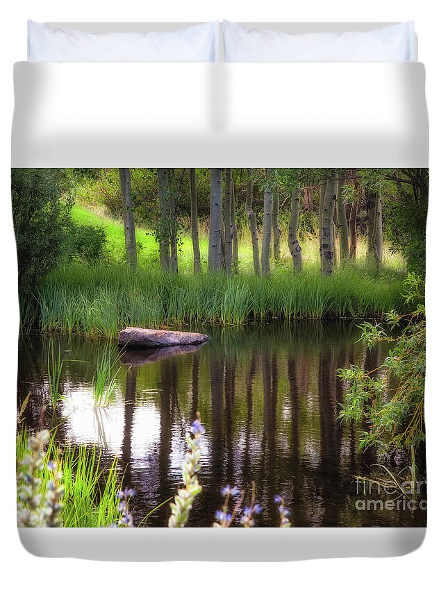Meadow Duvet Cover featuring the photograph Meadow Pond by Anthony Michael Bonafede