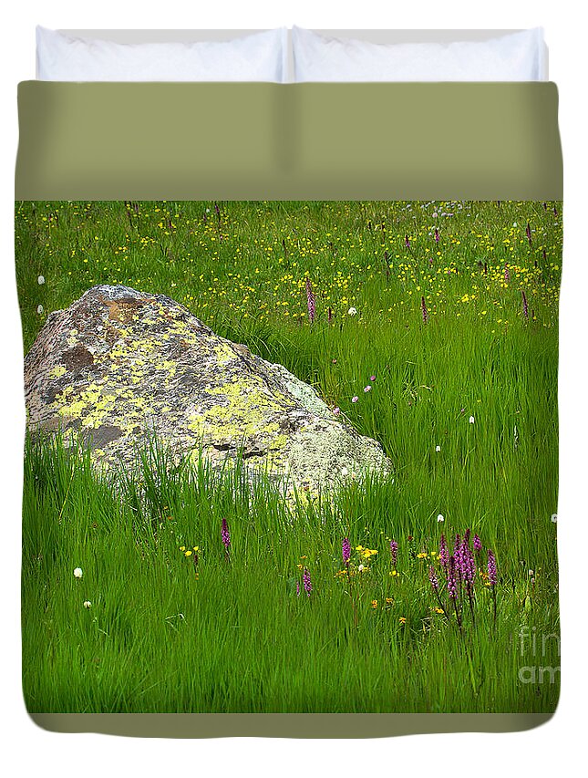 Mountain Wildflowers; Mountain Flowers Duvet Cover featuring the photograph Meadow Rock by Jim Garrison