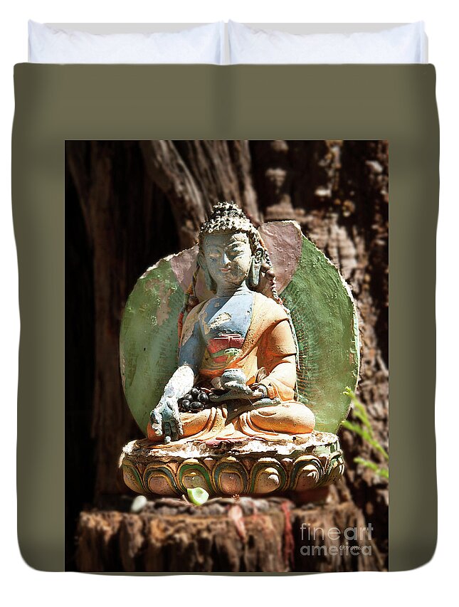 Aptos Ca Duvet Cover featuring the photograph Medicine Buddha with Offerings by Carol Lynn Coronios