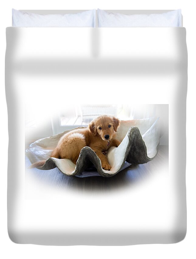 Golden Retrievers Duvet Cover featuring the photograph Mini Pearl by Karen Wiles