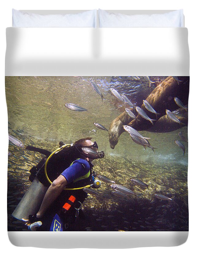 Underwater Duvet Cover featuring the photograph Meet the Sea Lions by Matt Swinden