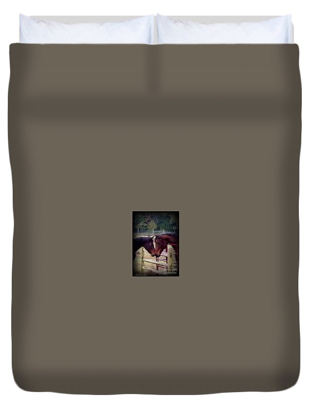 Horses Duvet Cover featuring the photograph Meeting by Rabiah Seminole