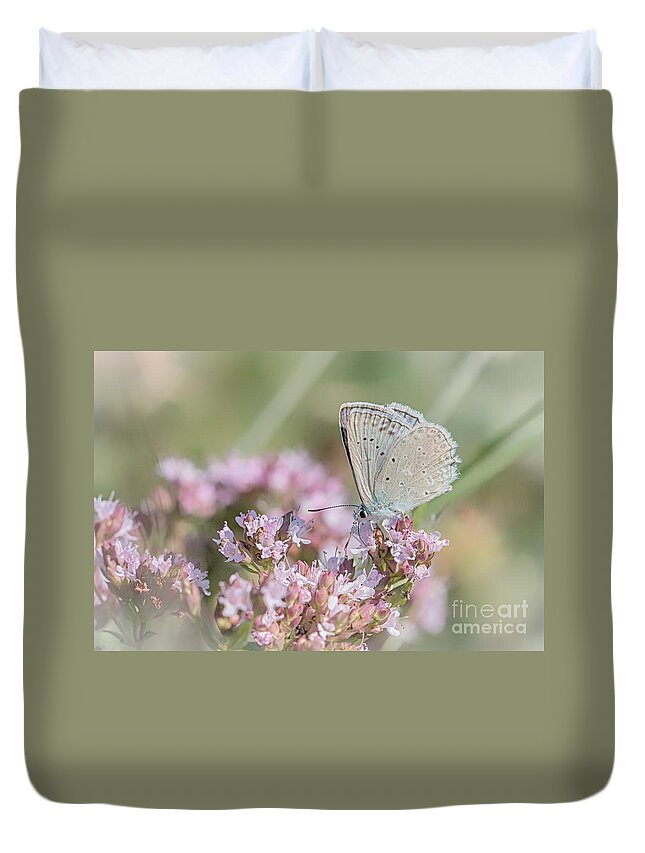 Animal Duvet Cover featuring the photograph Meleagers blue butterfly by Jivko Nakev