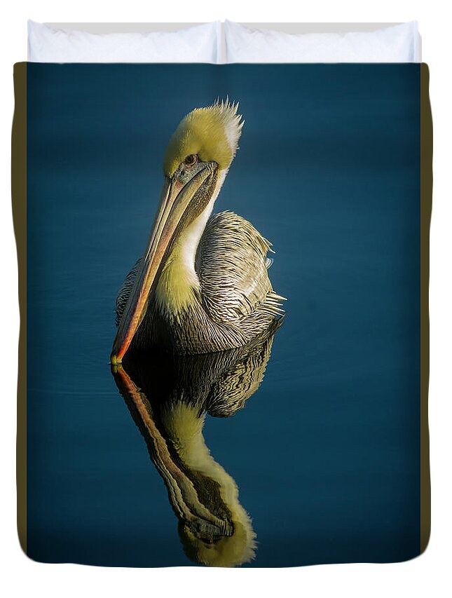 Pelican Duvet Cover featuring the photograph Mellow Yellow by Quinn Sedam