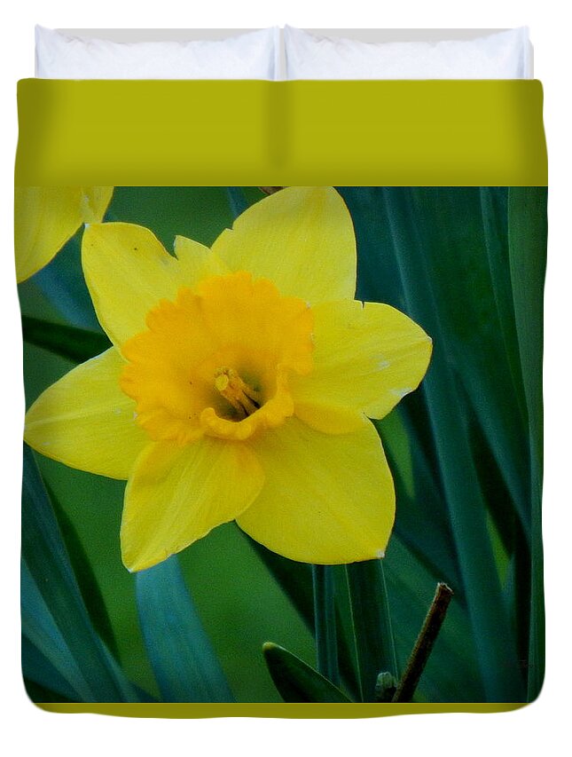 Spring Duvet Cover featuring the photograph Mellow Yellow by Wild Thing