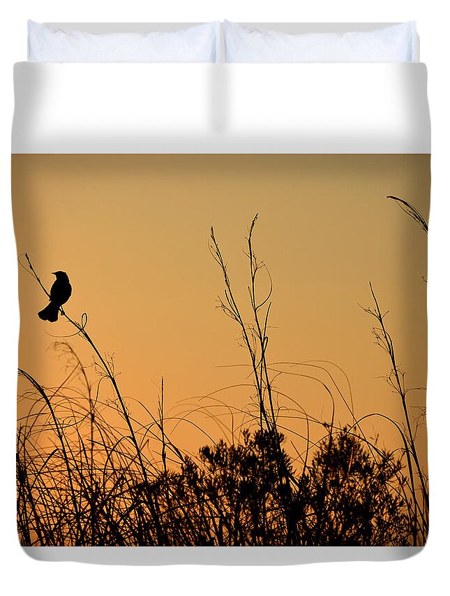 Sun Duvet Cover featuring the photograph Melody At Dusk by Lorenzo Cassina