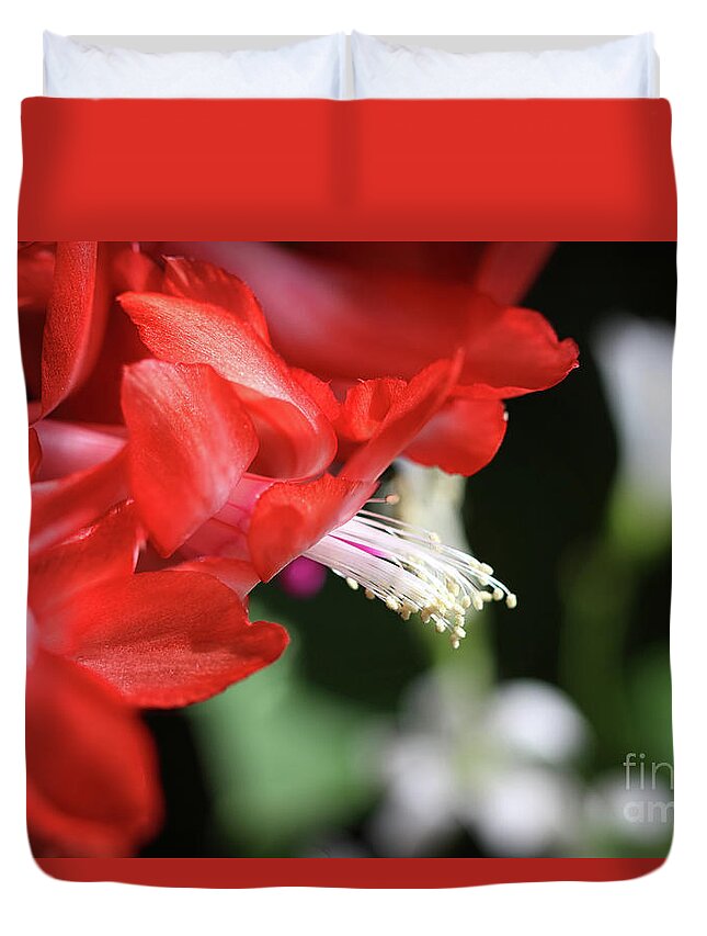 Christmas Cactus Duvet Cover featuring the photograph Memories of Mom by Karen Adams