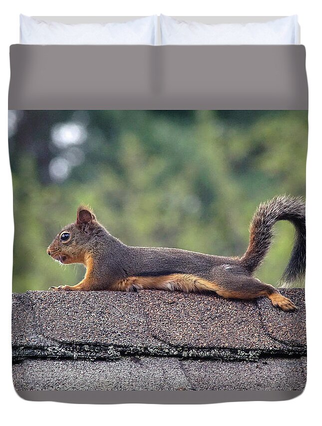 Squirrels Duvet Cover featuring the photograph Merle the Squirrel #1 by Ben Upham III