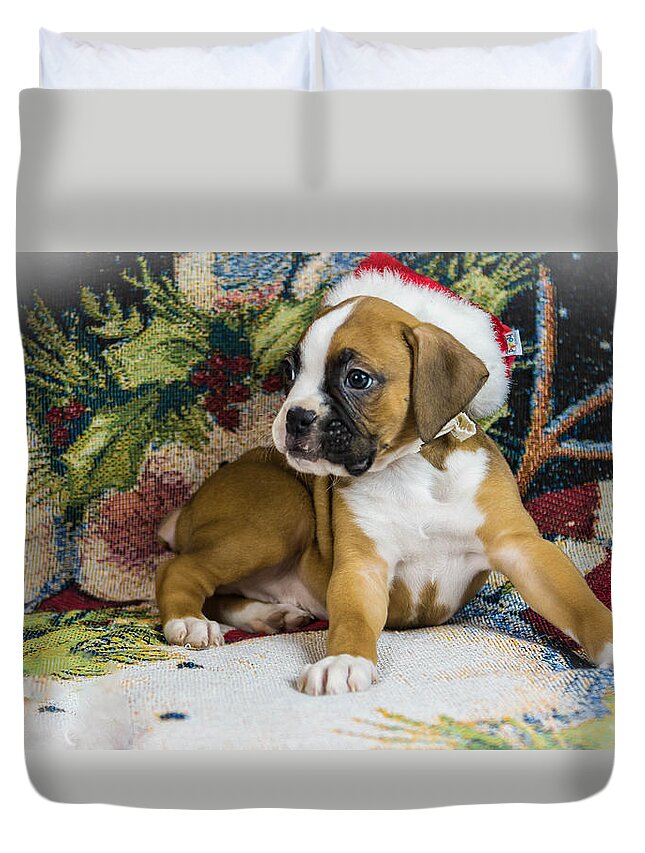 Puppy Duvet Cover featuring the photograph Merry Christmas from Oscar the Boxer 1 by George Kenhan