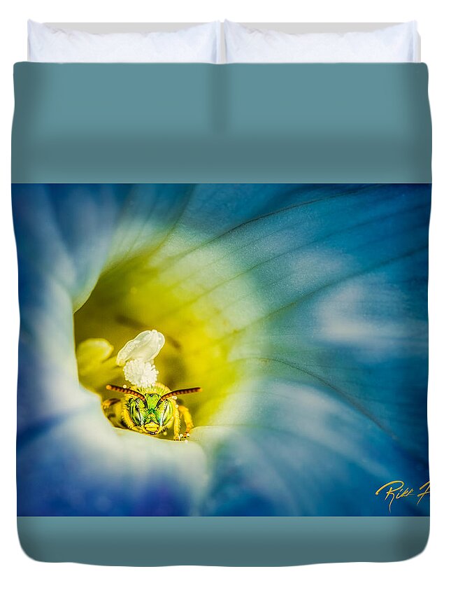 Animals Duvet Cover featuring the photograph Metallic Green Bee in Blue Morning Glory by Rikk Flohr