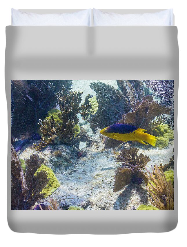 Ocean Duvet Cover featuring the photograph Mi Casa by Lynne Browne