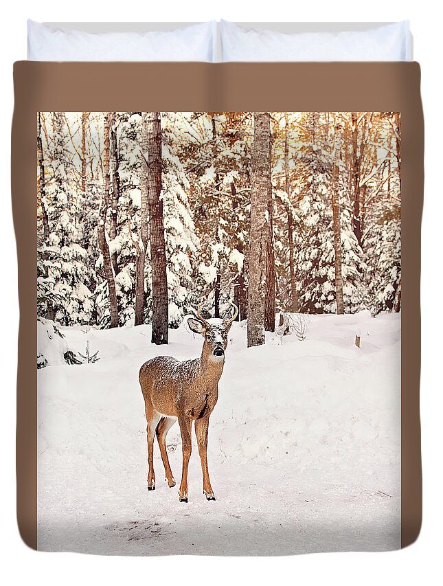 Michigan Whitetail Deer Duvet Cover featuring the photograph Michigan Whitetail Print by Gwen Gibson