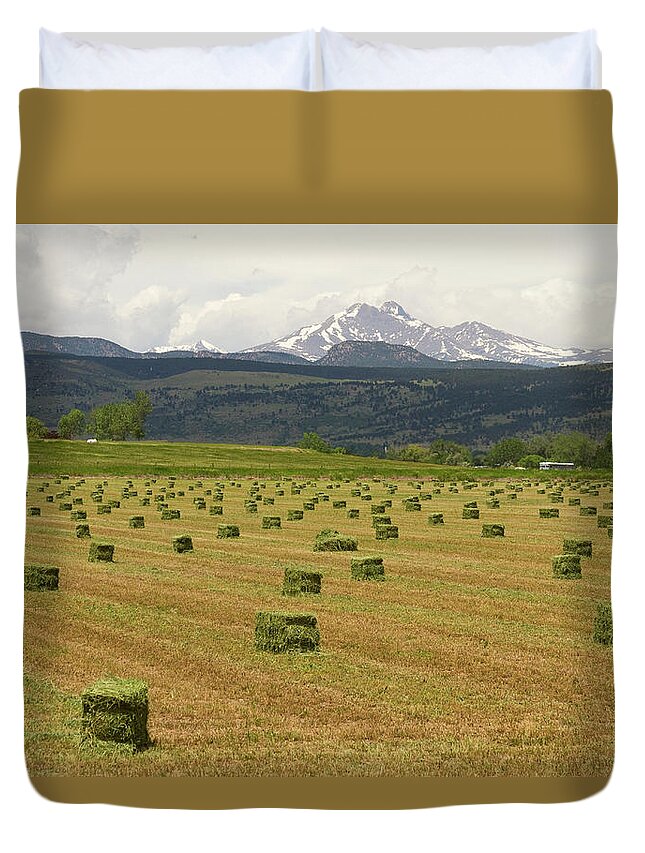 Country Duvet Cover featuring the photograph Mid June Colorado Hay and the Twin Peaks Longs and Meeker by James BO Insogna