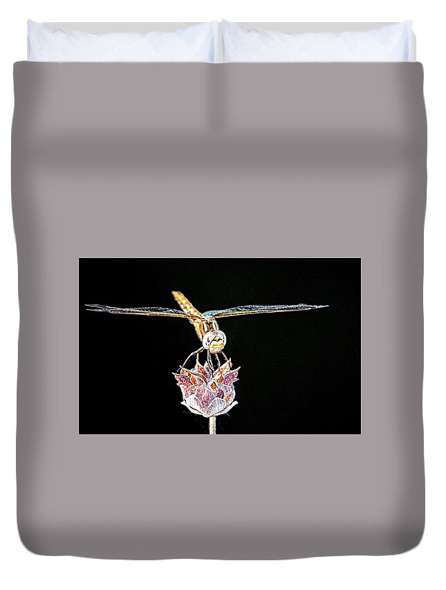 Insect Duvet Cover featuring the photograph Midnight Landing by AJ Schibig